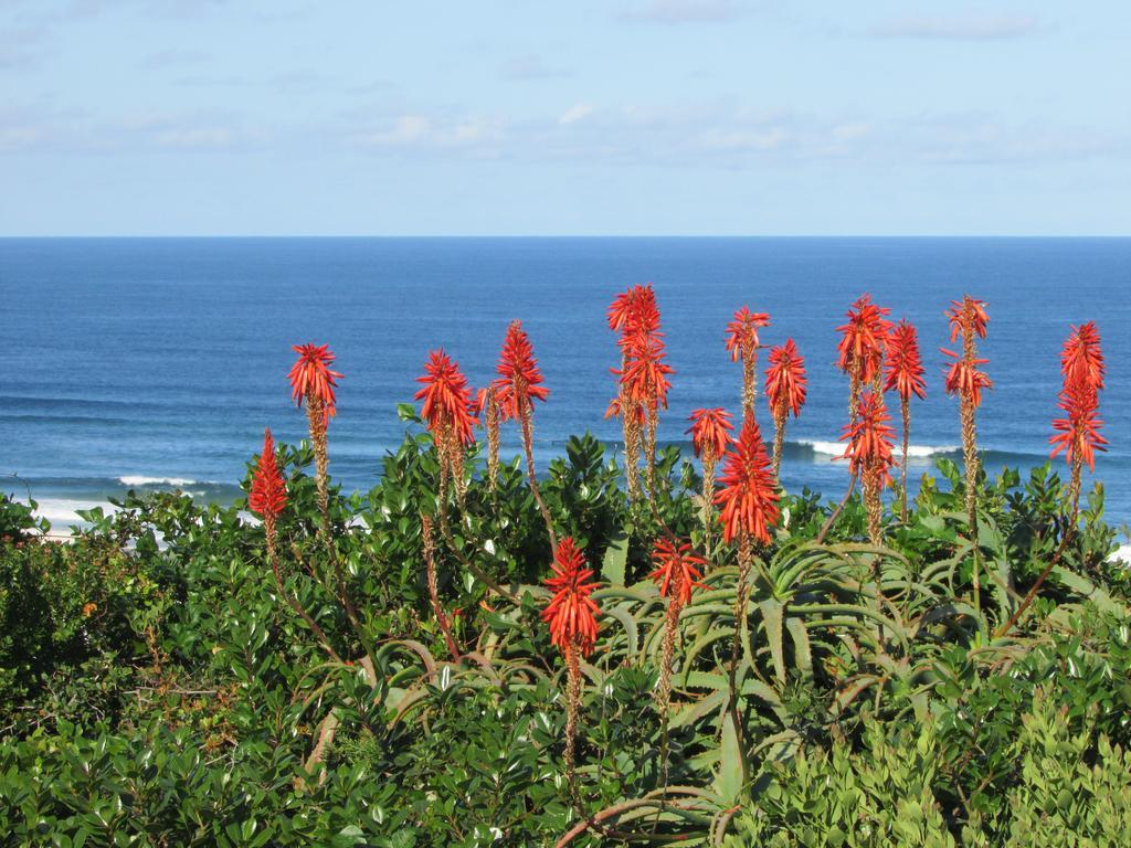 Melkhoutkloof Guest House Outeniqua Strand Zewnętrze zdjęcie